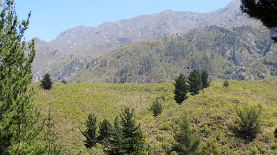 Commercial Property for Sale in Robertson Rural Western Cape